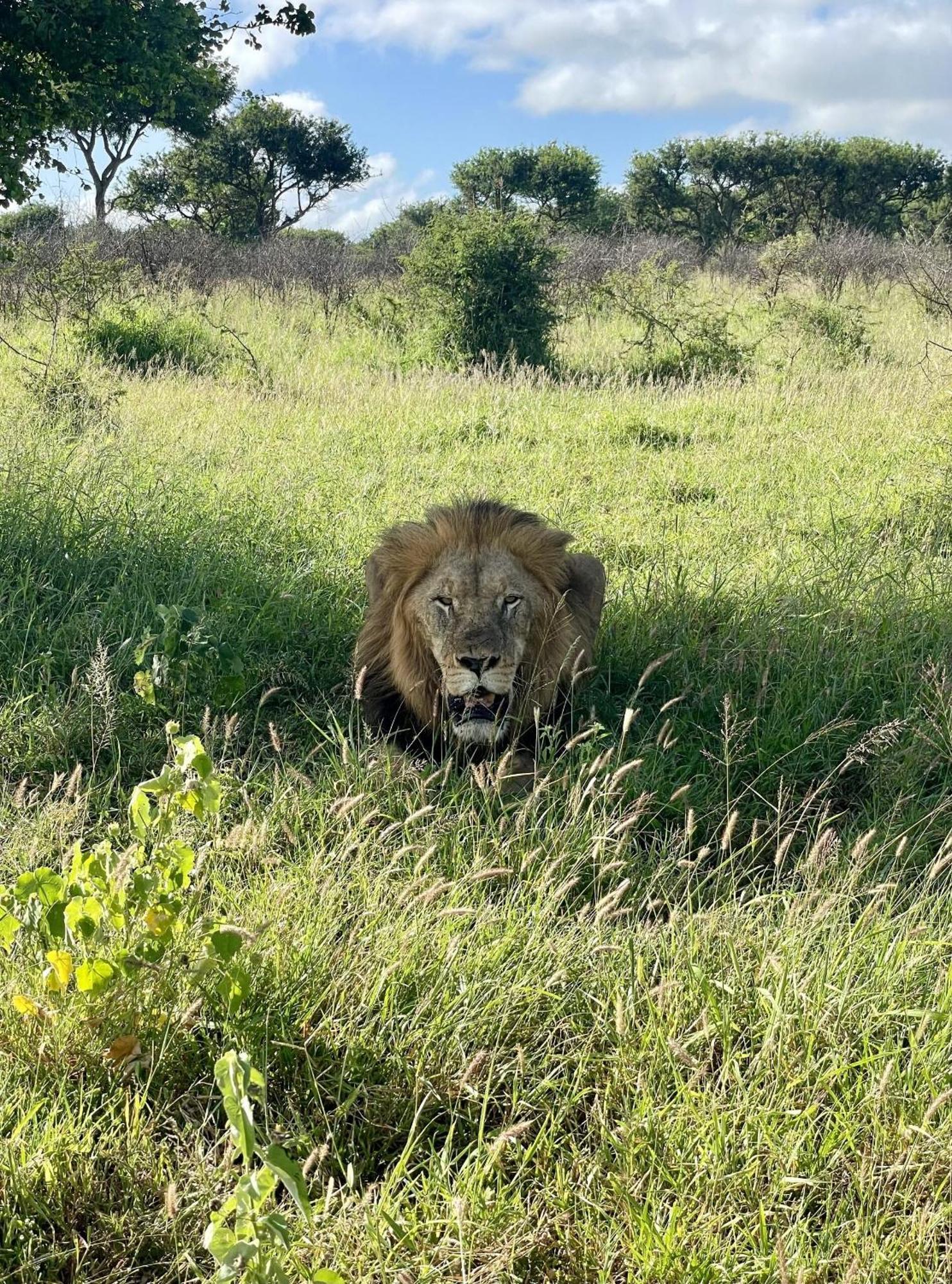 Rhino River Lodge Manyoni Private Game Reserve Zewnętrze zdjęcie